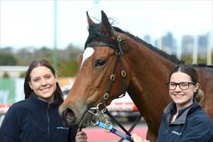 Algadon Miss & strappers, Moonee Valley, August 2019 Algadon Miss & strappers, Moonee Valley, August 2019